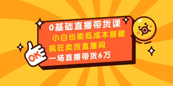 0基础直播带货课：小白也能低成本搭建疯狂卖货直播间：1场直播带货6万-最全项目网