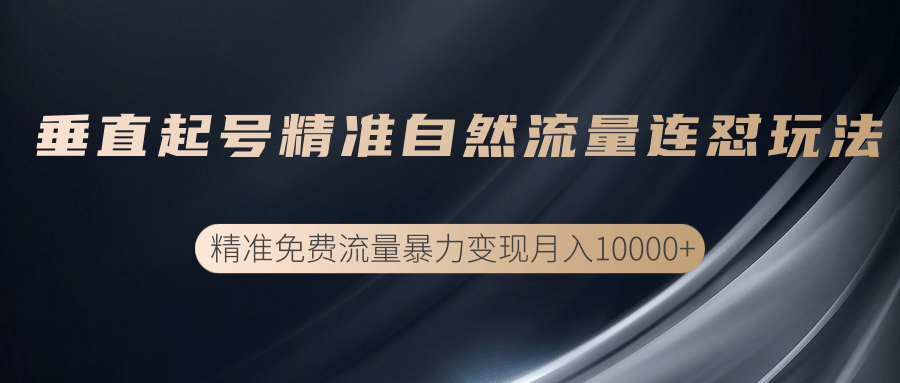 垂直起号精准自然流量连爆玩法，精准引流暴力变现月入10000+-最全项目网