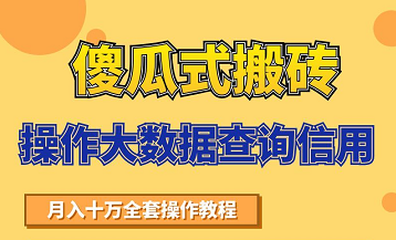搬砖操作大数据查询信用项目赚钱教程，祝你快速月入6万-最全项目网