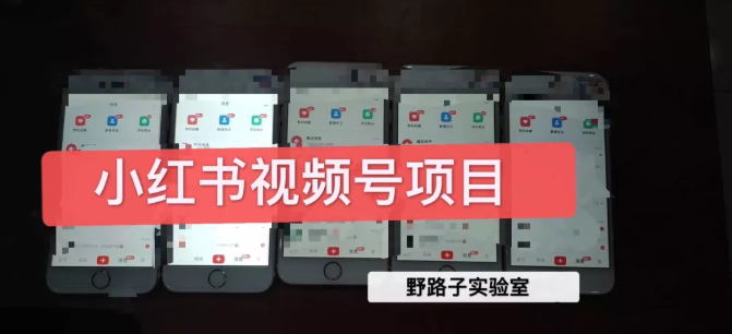 野路子小红书视频号1.0项目，直接上手操作就能赚钱的视频号项目-最全项目网