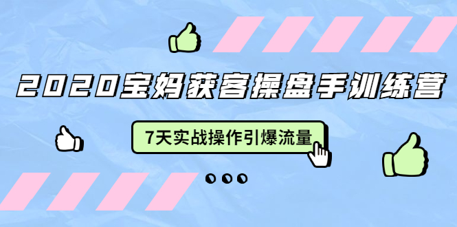 2020宝妈获客操盘手训练营：7天实战操作引爆 母婴、都市、购物宝妈流量-最全项目网