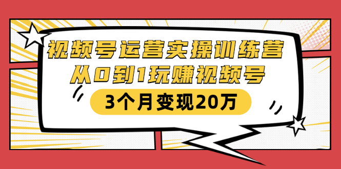 视频号运营实操训练营：从0到1玩赚视频号，3个月变现20万-最全项目网