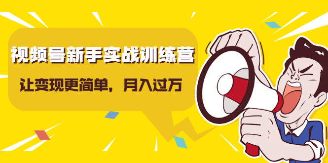 视频号新手实战训练营，让变现更简单，玩赚视频号，轻松月入过万-最全项目网