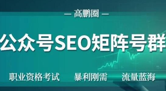 高鹏圈公众号SEO矩阵号群，实操20天纯收益25000+，普通人都能做-最全项目网