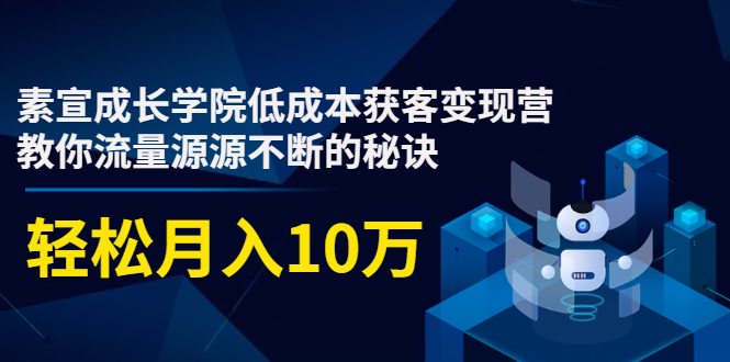 素宣成长学院低成本获客变现营，教你流量源源不断的秘诀，轻松月入10万-最全项目网