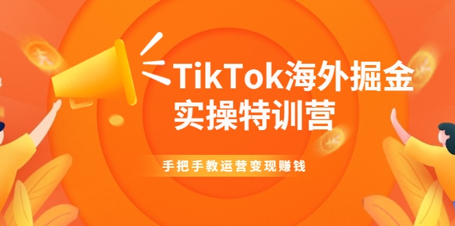 TikTok海外掘金实操特训营：手把手教运营变现赚钱-最全项目网