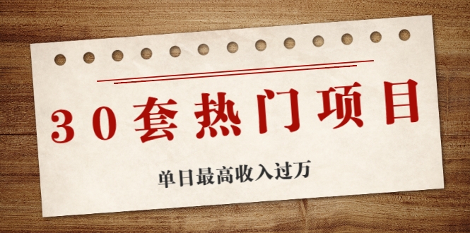 30套热门项目：单日最高收入过万 (网赚项目、朋友圈、涨粉套路、抖音、快手)等-最全项目网