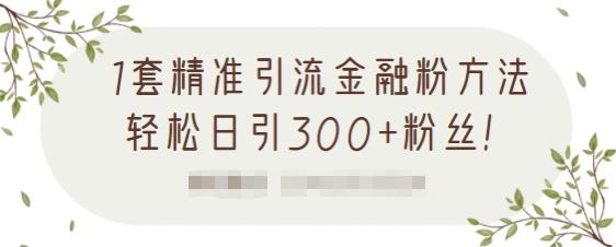 1套精准引流金融粉方法，轻松日引300+粉丝-最全项目网