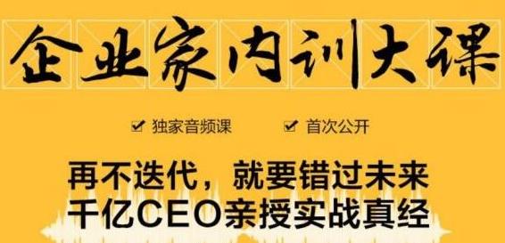 企业家内训大课，未来企业必学经验，价值1299元-最全项目网