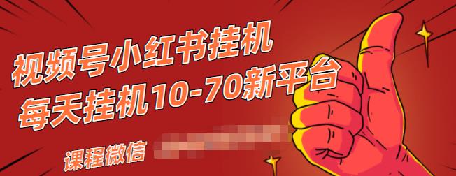 视频号小红书抖音挂机项目，小白无脑操作，按照要求来，单号每天几十米-最全项目网