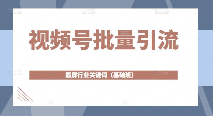 视频号批量引流，霸屏行业关键词（基础班）全面系统讲解视频号玩法-最全项目网