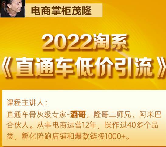 茂隆2022直通车低价引流玩法，教大家如何低投入高回报的直通车玩法-最全项目网