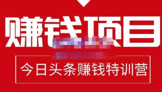 懒人领域·今日头条项目玩法，头条中视频项目，单号收益在50—500可批量-最全项目网
