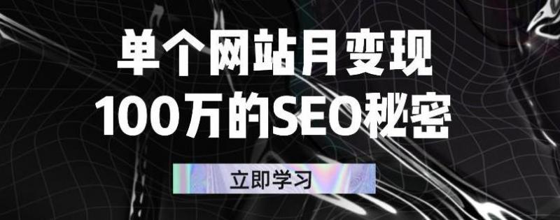 单个网站月变现100万的SEO秘密，百分百做出赚钱站点-最全项目网