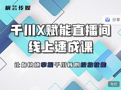 枫芸传媒-线上千川提升课，提升千川认知，提升千川投放效果-最全项目网