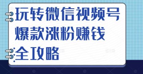 玩转微信视频号爆款涨粉赚钱全攻略，让你快速抓住流量风口，收获红利财富-最全项目网