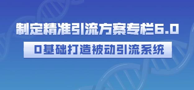 制定精准引流方案专栏6.0，0基础打造被动引流系统-最全项目网