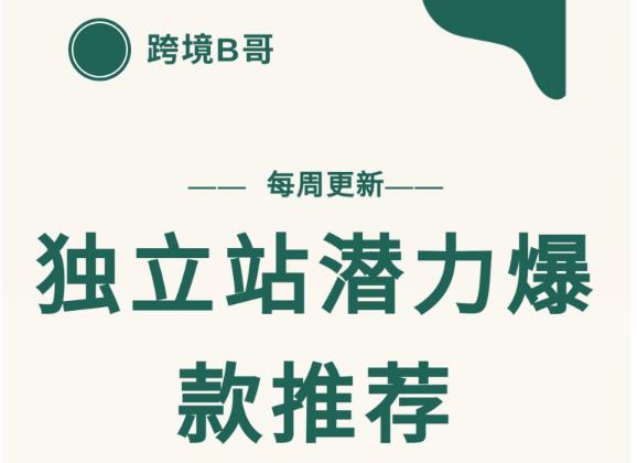 【跨境B哥】独立站潜力爆款选品推荐，测款出单率高达百分之80-最全项目网
