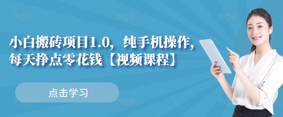 小白搬砖项目1.0，纯手机操作，每天兼职挣点零花钱-最全项目网