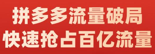 阿杰·拼多多流量破局:如何打黑标，爆款的思路，拼多多流量框架，快速抢占百亿流量-最全项目网