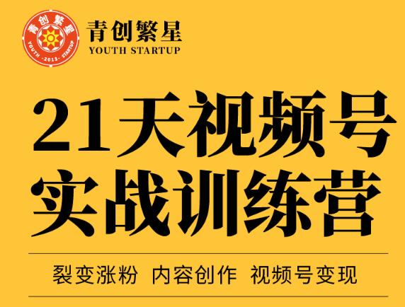 张萌21天视频号实战训练营，裂变涨粉、内容创作、视频号变现 价值298元-最全项目网