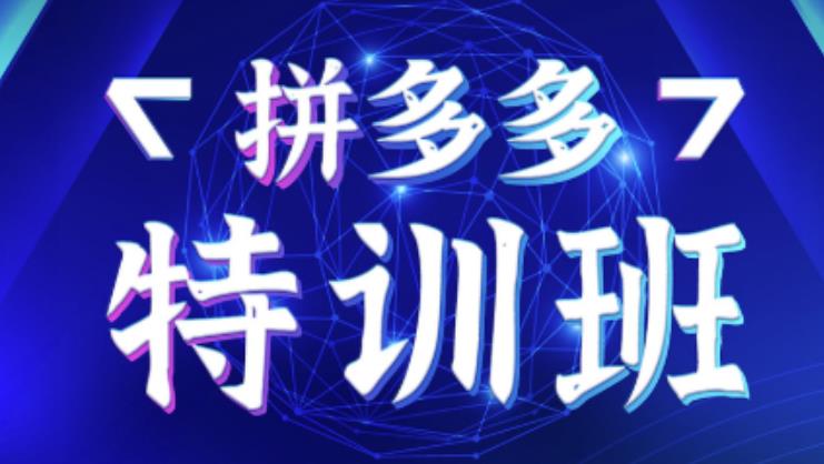 星雪教育·拼多多基础班+进阶班+突破班，用系统的学习模式快速改变现状价值3580元-最全项目网