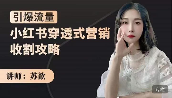 苏歆：小红书穿透式营销收割攻略，引爆流量，助你玩转小红书-最全项目网