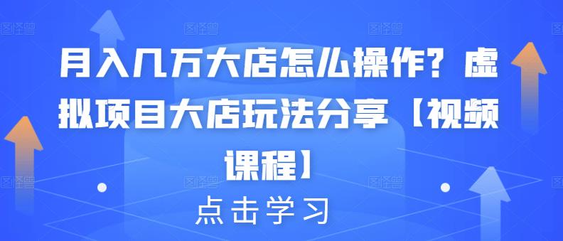 月入几万大店怎么操作？虚拟项目大店玩法分享【视频课程】-最全项目网