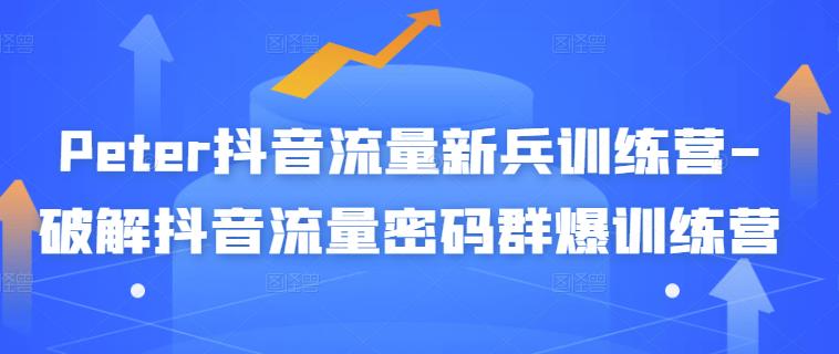 Peter抖音流量新兵训练营-破解抖音流量密码群爆训练营（新兵）-最全项目网