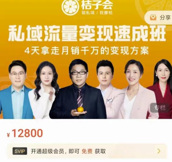 桔子会·私域流量变现速成班，4天拿走月销千万的变现方案 价值12800元-最全项目网