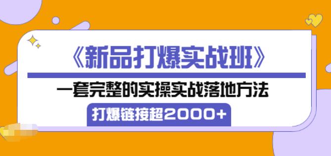 凌童《新品打爆实战班》,一套完整的实操实战落地方法，打爆链接超2000+（28节课)-最全项目网