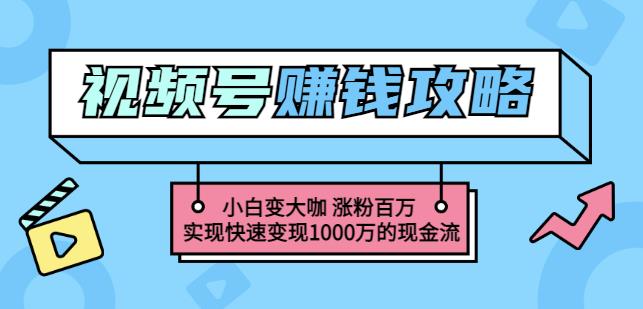 玩转微信视频号赚钱：小白变大咖涨粉百万实现快速变现1000万的现金流-最全项目网