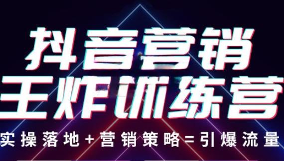 抖音营销王炸训练营，实操落地+营销策略=引爆流量（价值8960元）-最全项目网