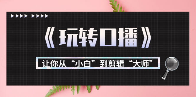 月营业额700万+大佬教您《玩转口播》让你从“小白”到剪辑“大师”-最全项目网