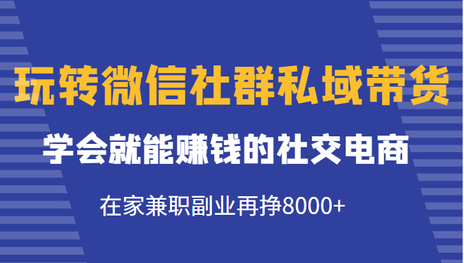 玩转微信社群私域带货，学会就能赚钱的社交电商，在家兼职副业再挣8000+-最全项目网