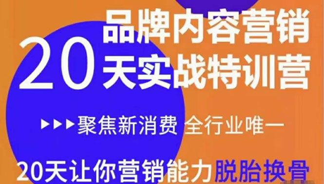 《内容营销实操特训营》20天让你营销能力脱胎换骨（价值3999）-最全项目网