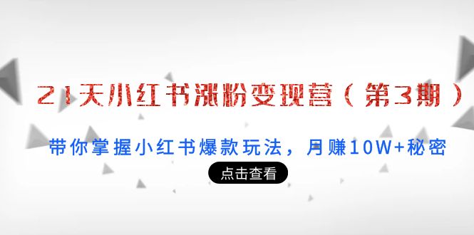 21天小红书涨粉变现营（第3期）：带你掌握小红书爆款玩法，月赚10W+秘密-最全项目网
