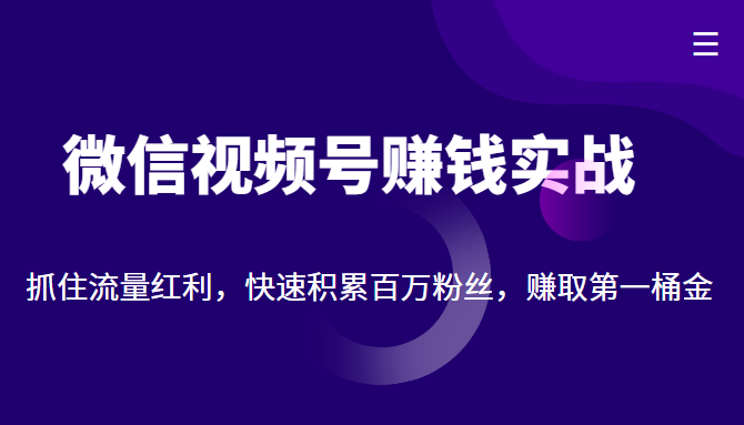 微信视频号赚钱实战：抓住流量红利，快速积累百万粉丝，赚取你的第一桶金-最全项目网