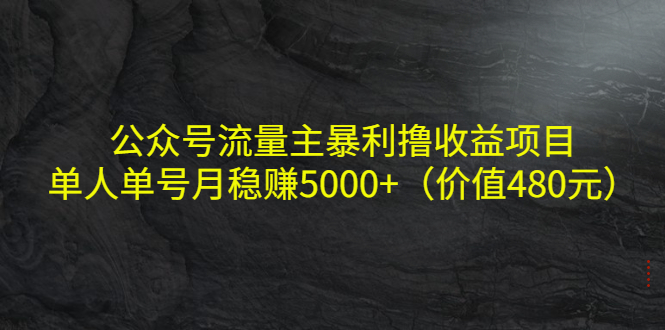 公众号流量主暴利撸收益项目，单人单号月稳赚5000+（价值480元）-最全项目网