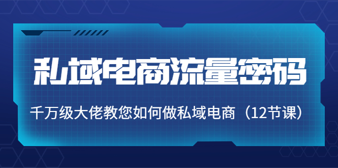 私域电商流量密码：千万级大佬教您如何做私域电商（12节课）-最全项目网