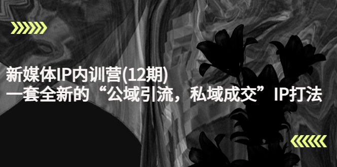新媒体IP内训营(12期)，一套全新的“公域引流，私域成交”IP打法，直接带走-最全项目网