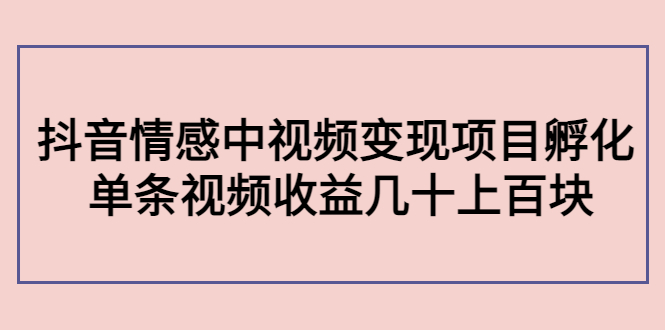 副业孵化营第5期：抖音情感中视频变现项目孵化 单条视频收益几十上百-最全项目网