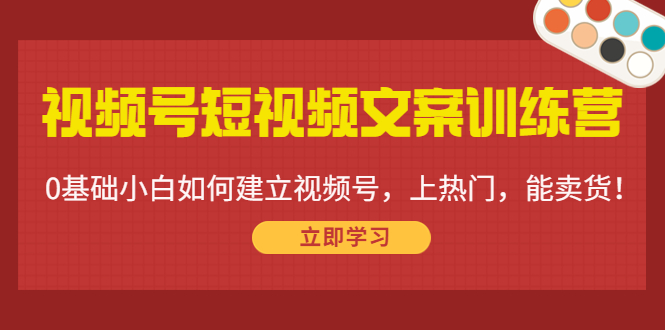 视频号短视频文案训练营：0基础小白如何建立视频号，上热门，能卖货！-最全项目网