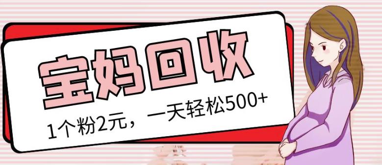 最新小红书母婴号宝妈粉回收项目，1个粉2元，一天轻松500+案例分享【粉丝包回收】-最全项目网