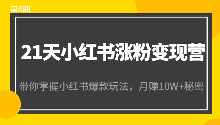 21天小红书涨粉变现营（第4期）：带你掌握小红书爆款玩法，月赚10W+秘密-最全项目网