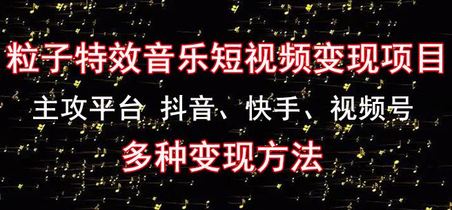 黄岛主《粒子特效音乐短视频变现项目》主攻平台抖音、快手、视频号多种变现方法-最全项目网