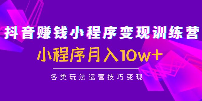 抖音赚钱小程序变现训练营：小程序月入10w+各类玩法运营技巧变现-最全项目网