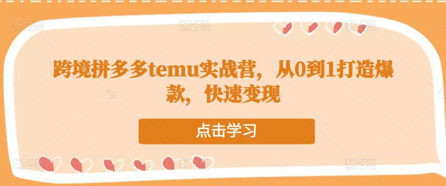 跨境拼多多temu实战营，从0到1打造爆款，快速变现-最全项目网