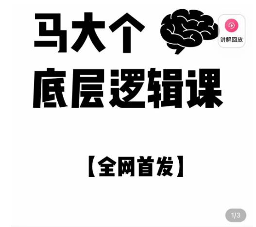 马大个·底层逻辑课，51节底层逻辑智慧课-价值1980元-最全项目网