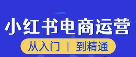 顽石小红书电商高阶运营课程，从入门到精通，玩法流程持续更新-最全项目网
